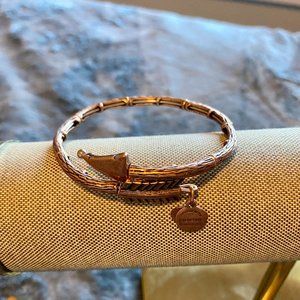 Alex and Ani Bracelet